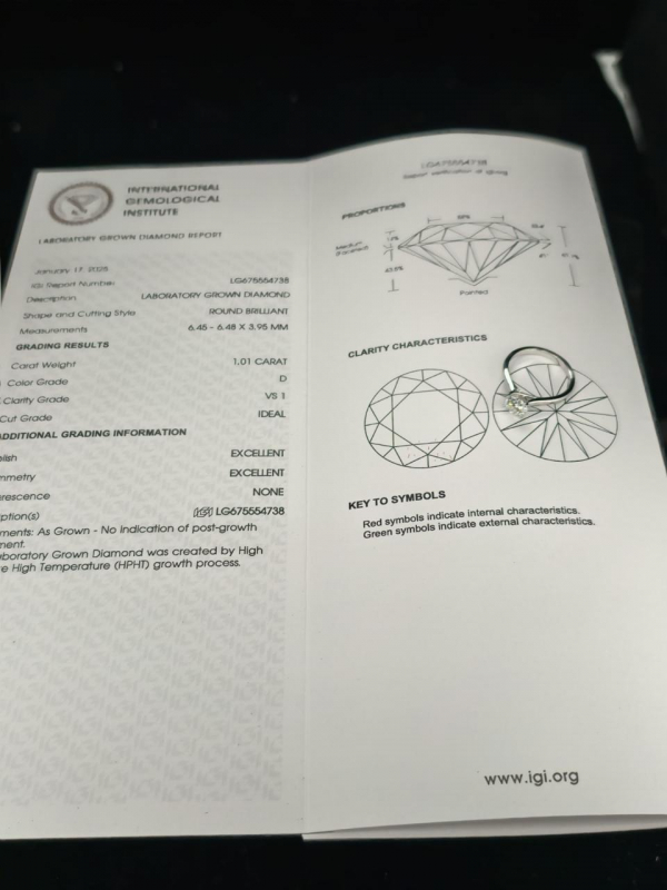 CATEDRAL LABGROWN 1.01 Ct - Image 3